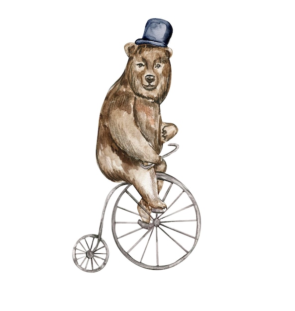 Un ours à vélo porte un chapeau haut de forme