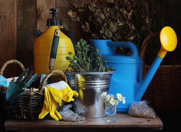 Outils de jardin, arrosoir, pelle, seau, gants, ordures sur la table.