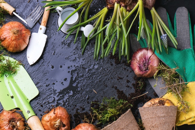 Photo outils de jardin et bulbes à fleurs