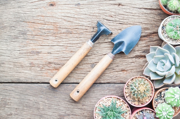 Outils de jardin avec Cactus