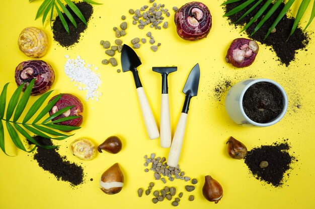 Photo les outils de jardin sont préparés pour planter des plantes