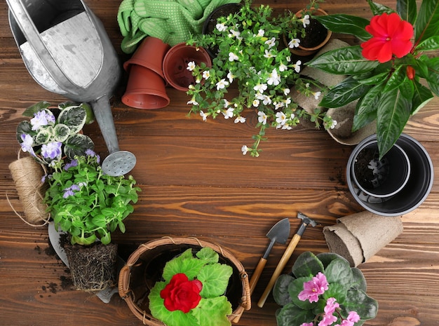 Outils de jardinage et fleurs sur fond de bois