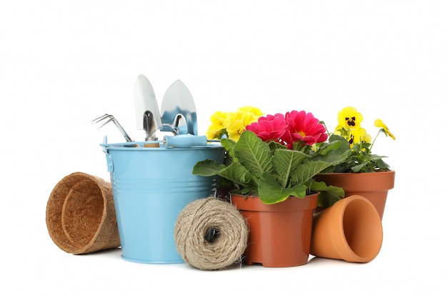 Outils de jardinage et fleurs isolés sur blanc isolé