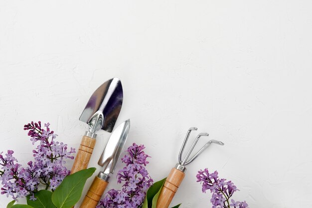 Outils de jardinage et fleurs lilas sur fond blanc, espace copie