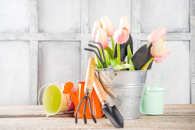 Outils de jardinage et fleurs