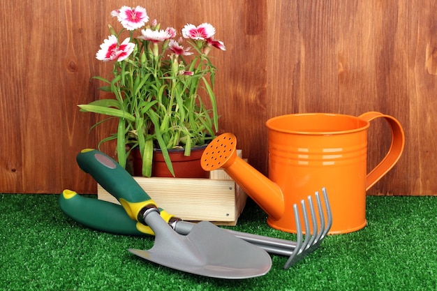 Photo outils de jardinage sur fond en bois