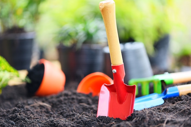 Outils de jardinage sur fond de sol prêts à planter