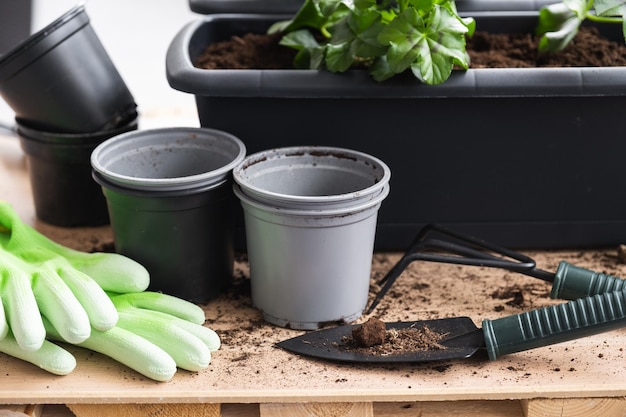 Outils de jardinage Gants et pots de fleurs pour planter des fleurs Aménagement d'un balcon ou d'une terrasse