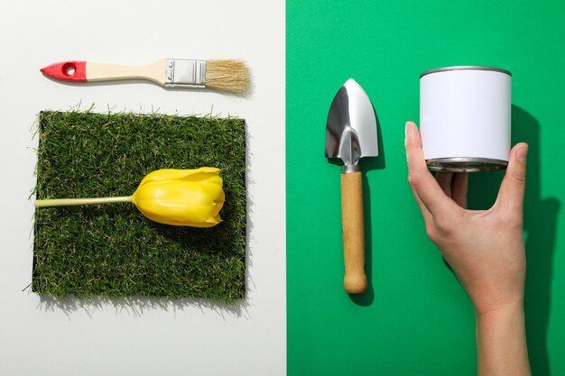 Photo outils de jardinage herbe de fleur et boîte de peinture à la main sur fond blanc et vert vue supérieure