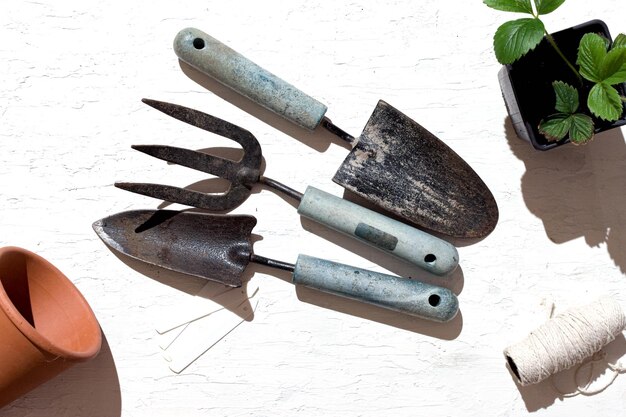 Des outils de jardinage isolés sur un fond grunge blanc