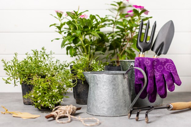 Outils de jardinage de plantes bouchent