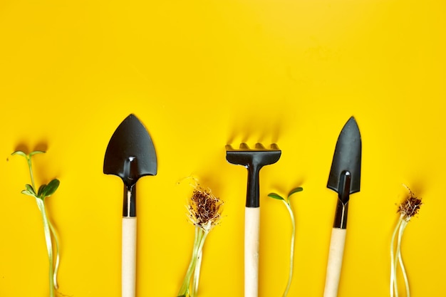 Outils de jardinage à plat et verts sur fond jaune