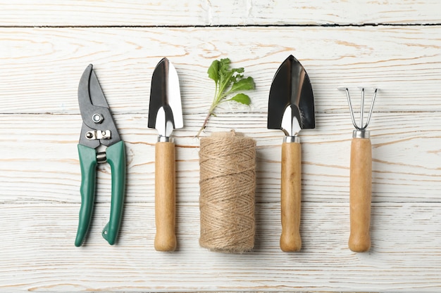 Outils de jardinage et pousse sur bois, vue de dessus