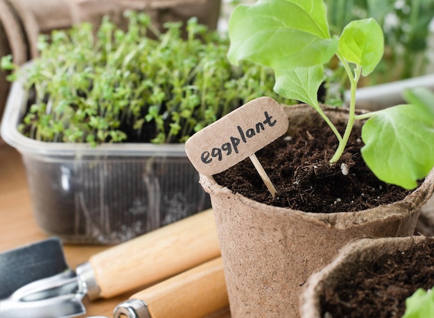 Photo outils de jardinage et semis dans des pots de tourbe.