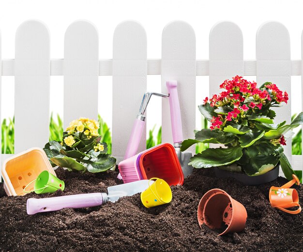 Outils de jardinage en sol isolé sur blanc