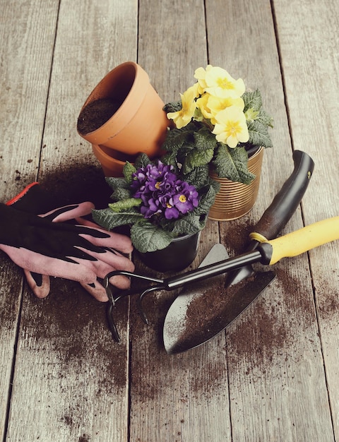 Outils de jardinage sur le sol