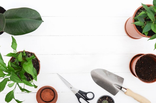 Photo outils de jardinage sur une table en bois blanche