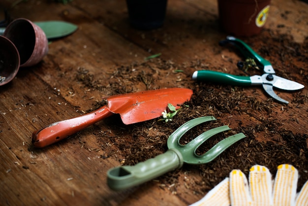 Outils De Jardinage Sur Une Table En Bois