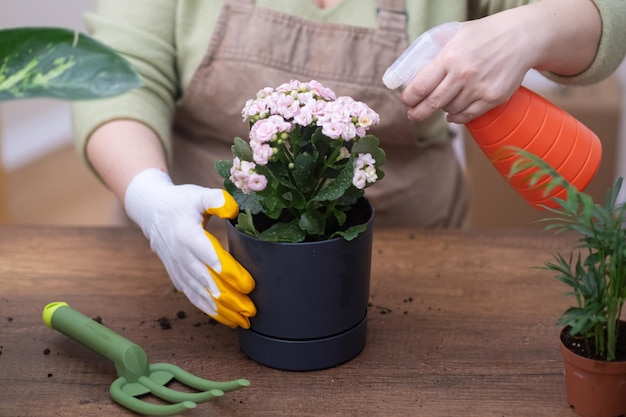 Outils de jardinage et techniques de rempotage