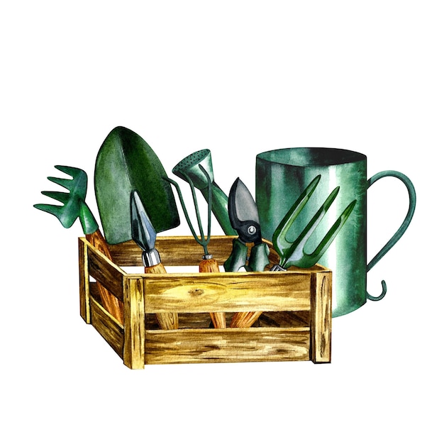 Outils de jardinier dans une boîte en bois. Illustration aquarelle.