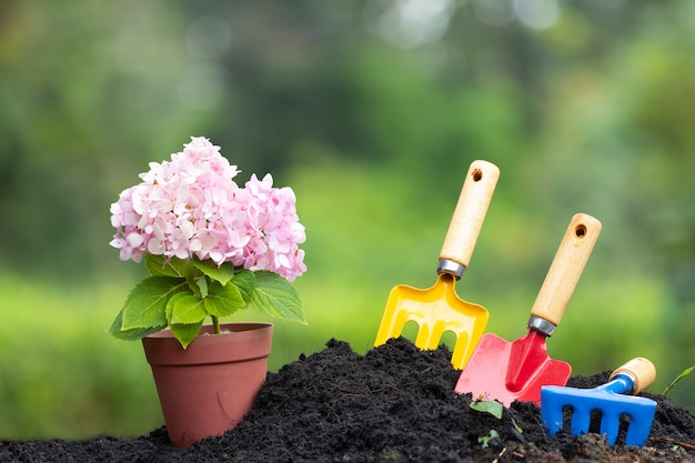 Outils de sol de jardin et fleur d&#39;hortensia en pot de fleur