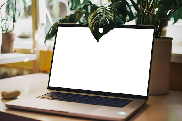 Ouvrez l'ordinateur portable et Monstera dans le bureau moderne