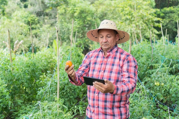 Ouvrier agricole utilisant une tablette numérique dans une plantation