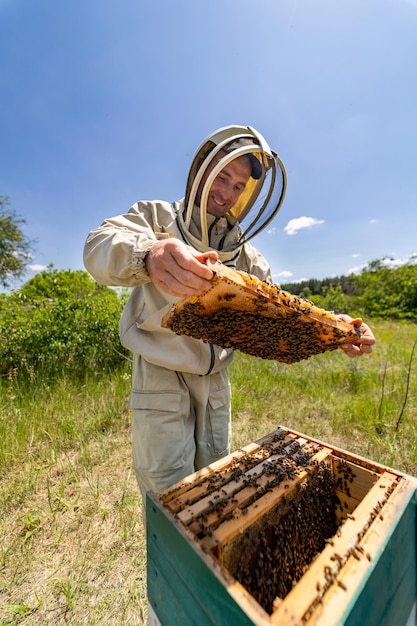 Ouvrier apicole Spécialiste de l'apiculture tenant un cadre en bois