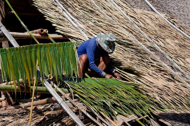 Un ouvrier asiatique répare un toit de chaume au-dessus de la vieille maison