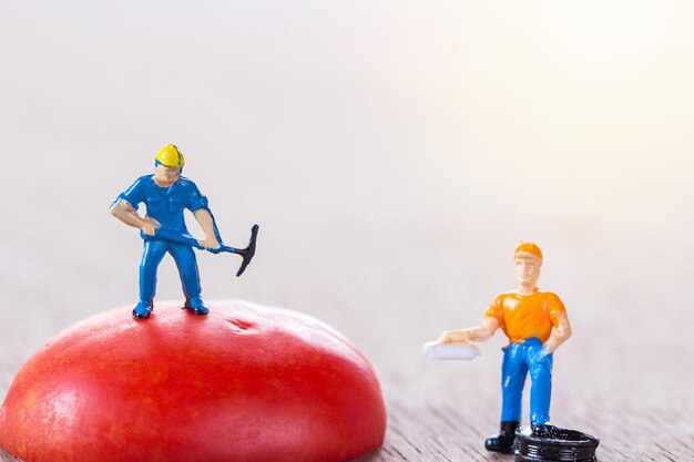 Ouvrier et contremaître debout sur la tomate rouge avec la lumière du soleil