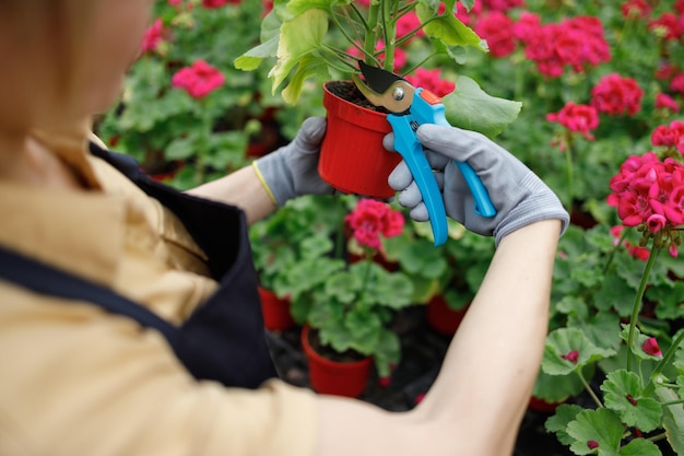 Ouvrier de pépinière de fleurs travaillant avec un sécateur