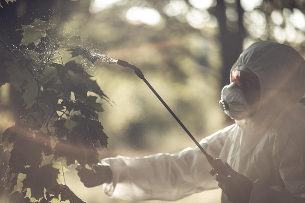 Un ouvrier pulvérise des pesticides sur les arbres à l'extérieur