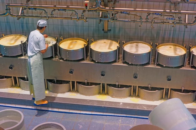 Ouvrier de l'usine de fabrication de fromage concentré sur le processus de production de fromage Gruyère