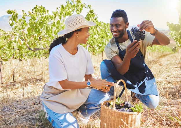 Les ouvriers agricoles de la ferme viticole cueillent ensemble des raisins frais de la plante dans le vignoble en été Les agriculteurs sourient et vérifient les cultures ou produisent pour les examiner en été afin de récolter des fruits sains sur le terrain dans la nature