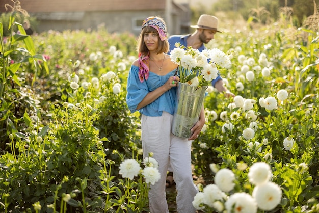 Les ouvriers agricoles ramassent des fleurs de dahlia dans une ferme rurale à l'extérieur