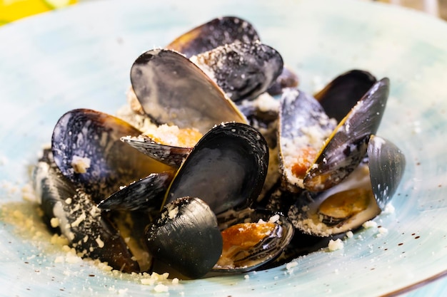 Photo ouvrir les moules sur l'assiette