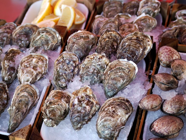 Photo oystères, poissons frais et fruits de mer à ortigia, syracuse, marché du poisson de sicile, italie