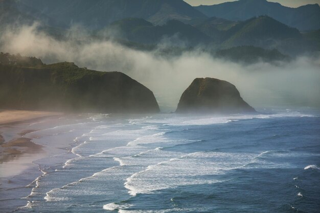 Pacific Coast