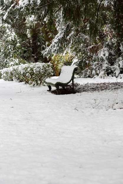 Pack banc sous la neige alors que la neige continue de tomber pour une scène hivernale