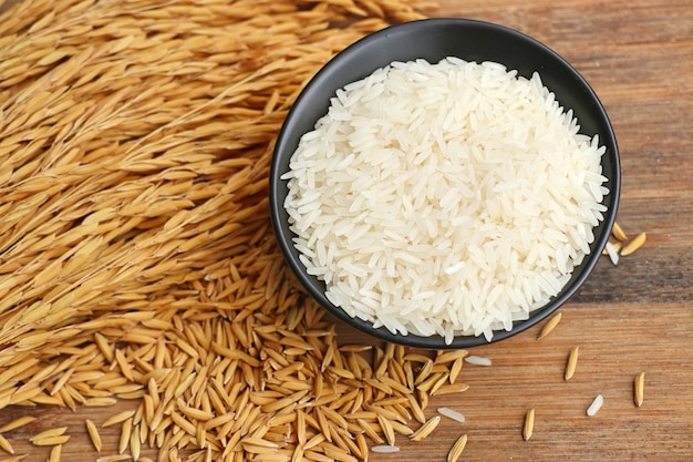 Paddy et riz blanc