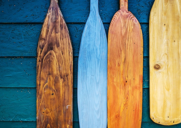 Photo pagaies de canoë en bois différentes couleurs sur bois vert