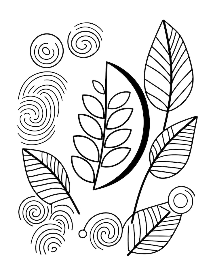 Photo pages à colorier pour adultes