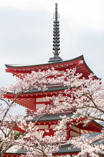 Pagode Chureito au printemps