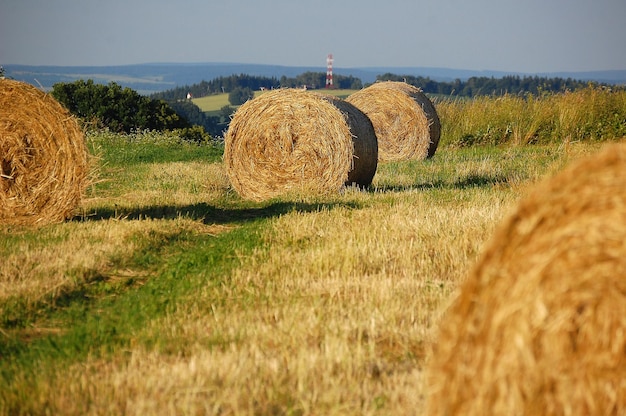 Paille en balles