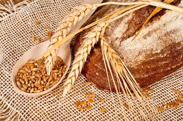 Pain et blé traditionnels frais cuits au four