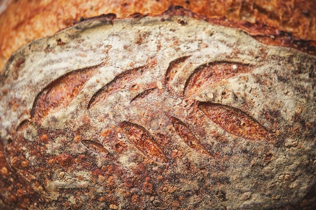 Pain complet d'épeautre au levain issu de farine biologique