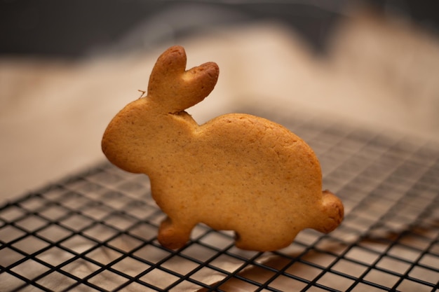 Pain d'épice de lapins de Pâques fraîchement cuit sur la table