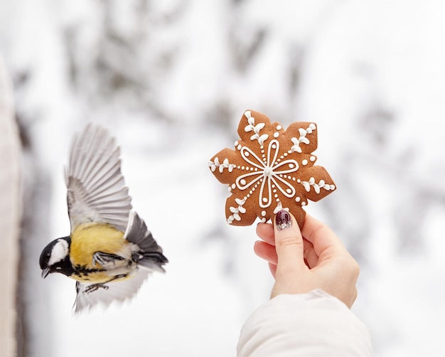 Pain d'épice et petit oiseau