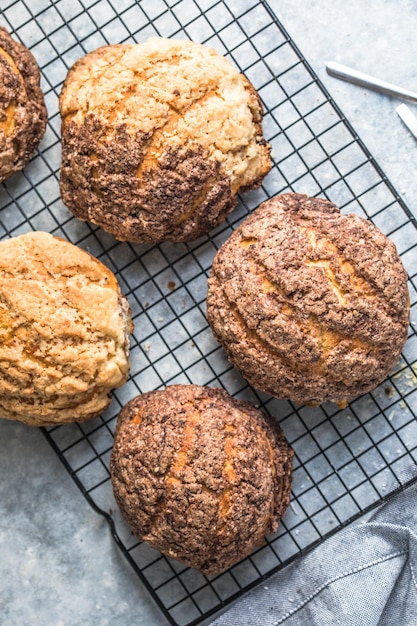 Le pain sucré Conchas est un type de pan dulce traditionnellement cuit au Mexique au cours des semaines précédant le DÃƒÂa de Muertos