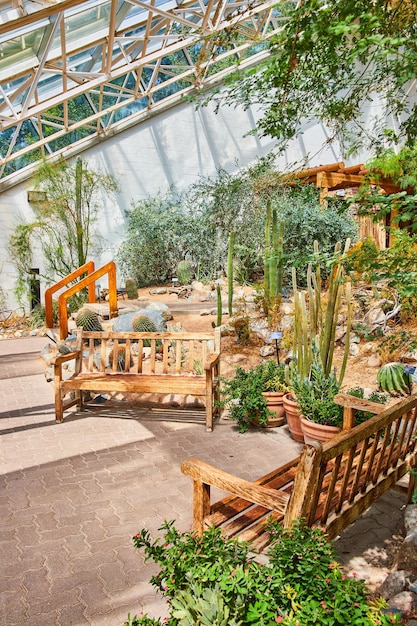 Paire de bancs sur chemin entouré de cactus en serre